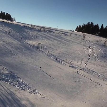 Chatky U Potoka Chatka N3 Olesnice v Orlickych horach Eksteriør billede